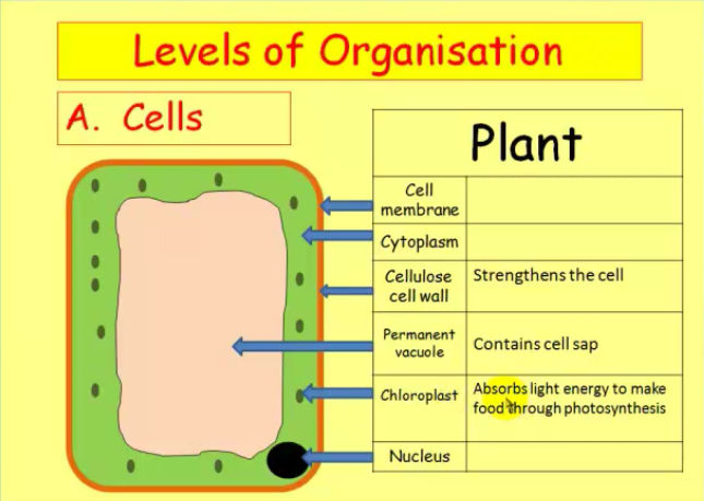 Biology Course Example
